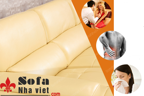 Sofa cao cấp giá rẻ, Mua sofa cao cấp ở đâu Sofa cao cấp mã 802