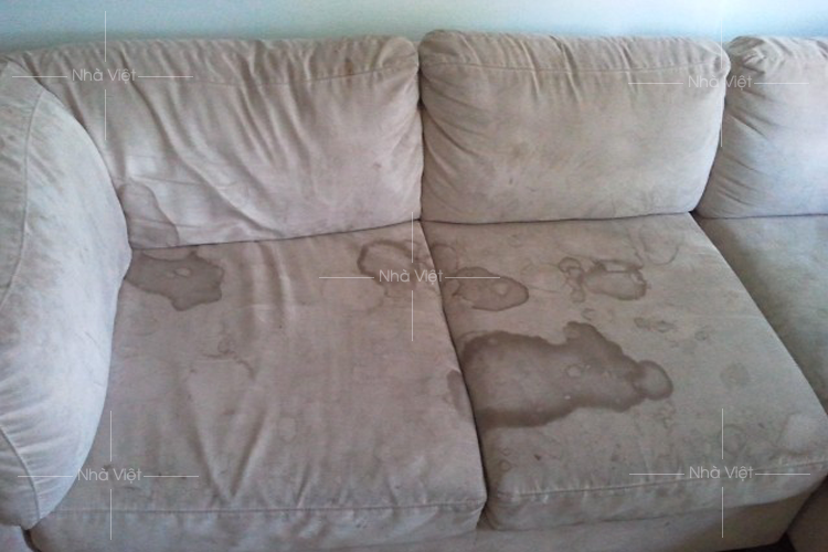 Phải làm sao khi bộ sofa nỉ phòng khách bị bẩn và mốc