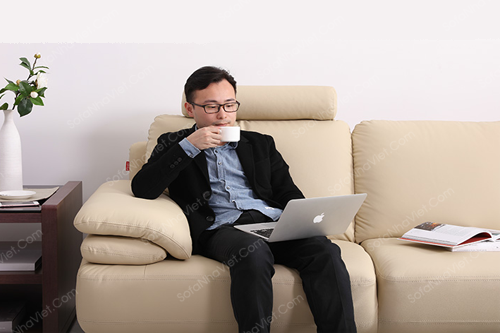 Bàn ghế sofa da bọc da Hàn Quốc cao cấp Sofa da mã 066