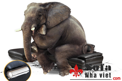 Bàn ghế sofa phòng khách theo phong cách hiện đại Sofa phòng khách mã 52