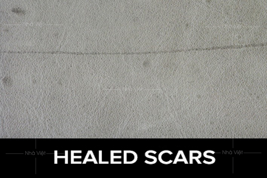 Sofa da thật và một số điểm thường gặp trên bề mặt của da