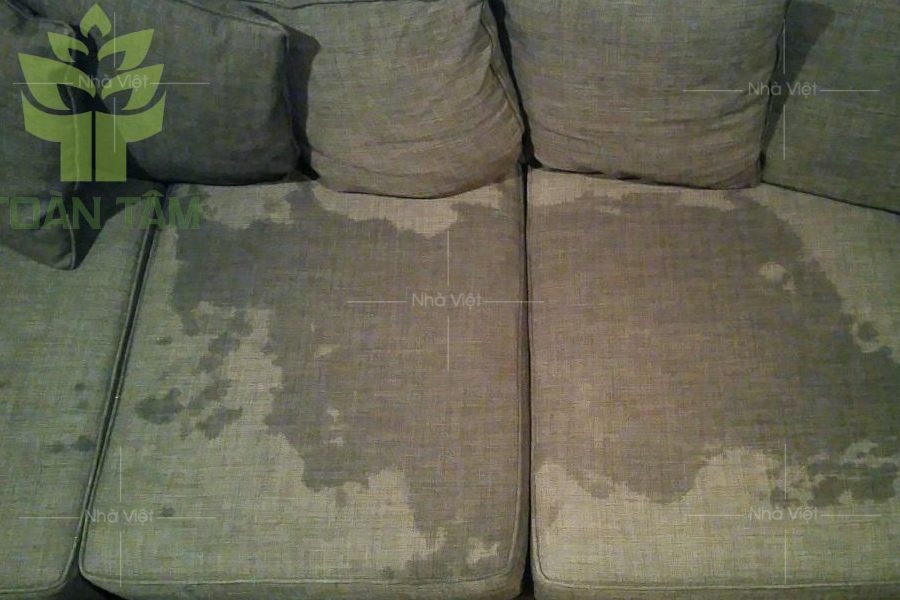 Nguyên nhân gây ra những vết mốc trên ghế sofa vải