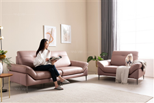 Ra mắt mẫu sofa hai ghế bọc da phong cách Hàn Quốc