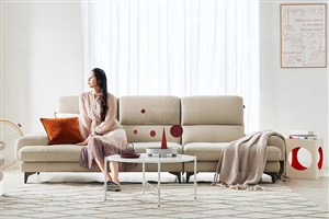 Sự khác biệt về kiểu dáng và chất liệu bọc sofa tạo nên giá trị