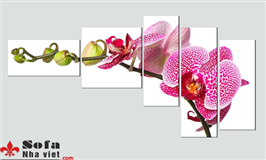 Tranh treo tường mã C05